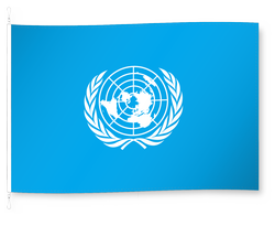 Organisation des Nations unies (ONU)