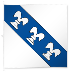Illnau-Effretikon (Wappen Illnau)