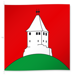 Kyburg-Buchegg