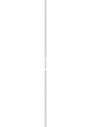 Hampe 2 x 1.5m avec pointe héraldique (ø28 mm)