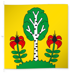 Besenbüren