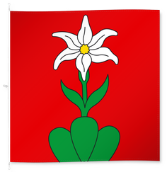 Illgau