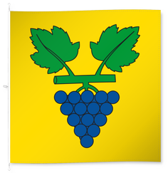 Cugnasco