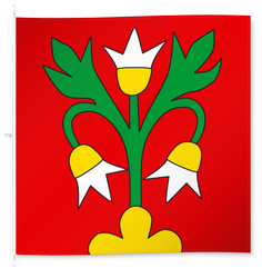 Zezikon