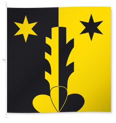 Riedern