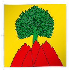 Buix