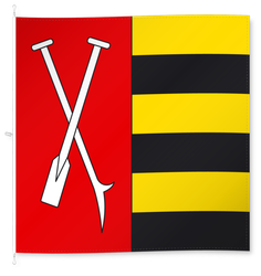 Root