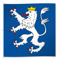 Wikon