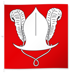 Winikon