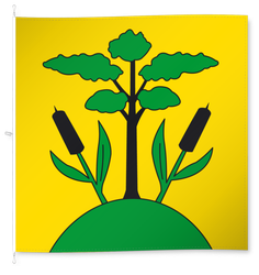 Müswangen