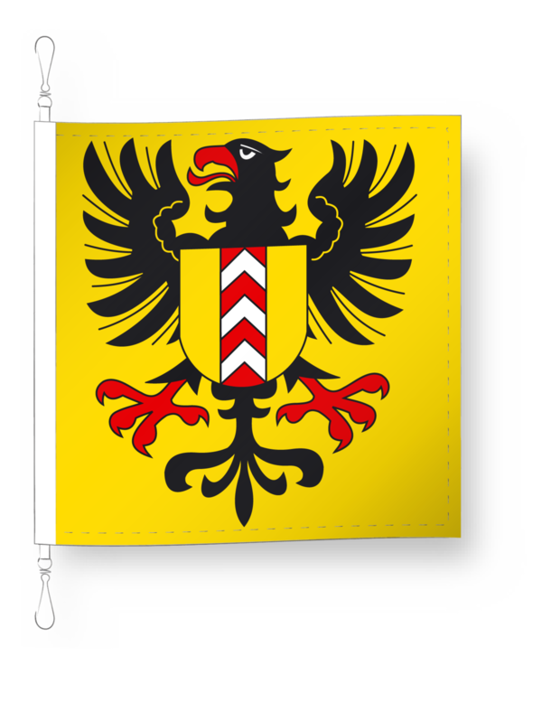 Fanion Neuchâtel Xamax champion suisse 1987 .... (Gebraucht) in Bex für