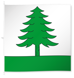 Le Pâquier