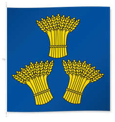 Kerns