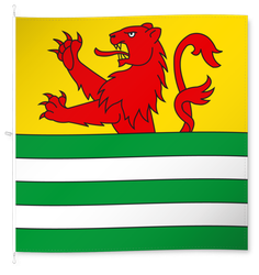 Balgach