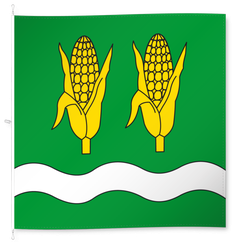 Diepoldsau