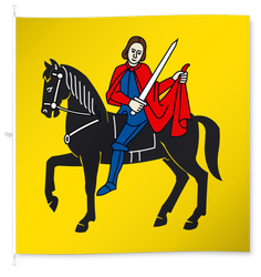 Jonschwil