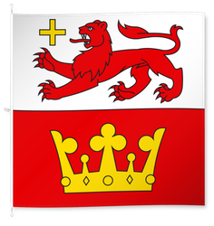 Schänis