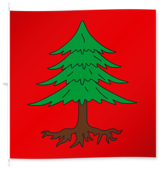Siblingen