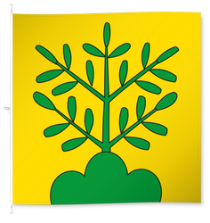 Oberbuchsiten