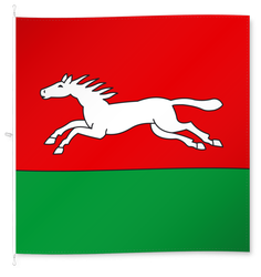 Oekingen
