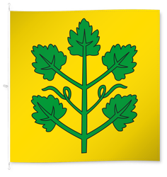 Winznau