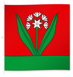 Oberramsern