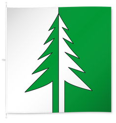 Heinrichswil