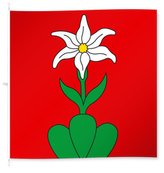 Illgau