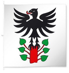 Steinen