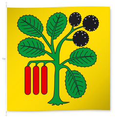 Merlischachen
