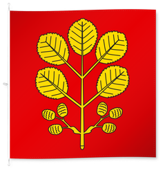 Erlen