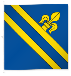 Lommis