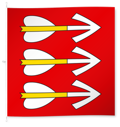 Pfyn