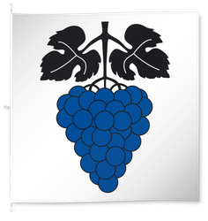 Niederneunforn