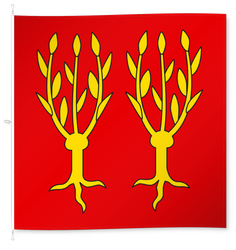 Salen-Reutenen
