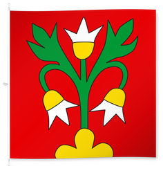 Zezikon