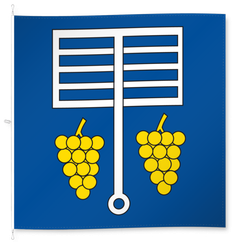Gudo
