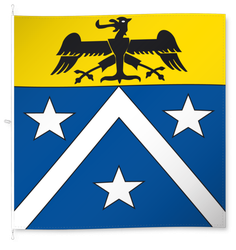 Cabbio
