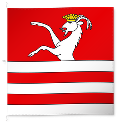 Tesserete