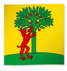 Risch