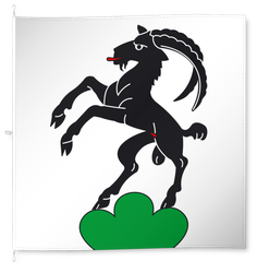 Steinhausen