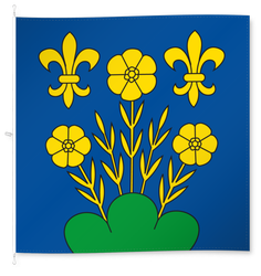 Berg