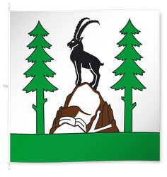 Wildhaus