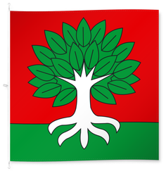 Buchholterberg