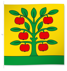 Grossaffoltern