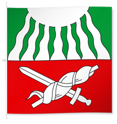 Lenk