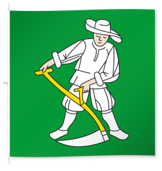 Madiswil