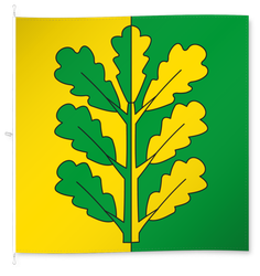 Mirchel Alt