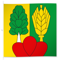 Müntschemier