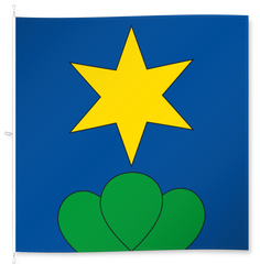 Neuenegg